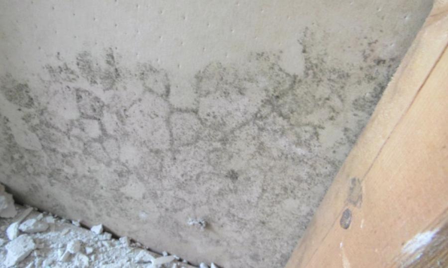 Contrôler l'humidité dans la maison